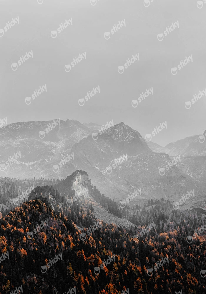 Πίνακας σε Καμβά RUSTIC FARMHOUSE SNOWY MOUNTAIN 3