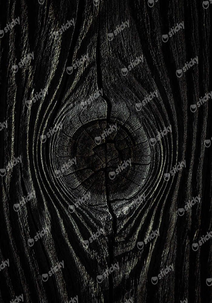 Πίνακας σε Καμβά RUSTIC FARMHOUSE TREE BARK 2