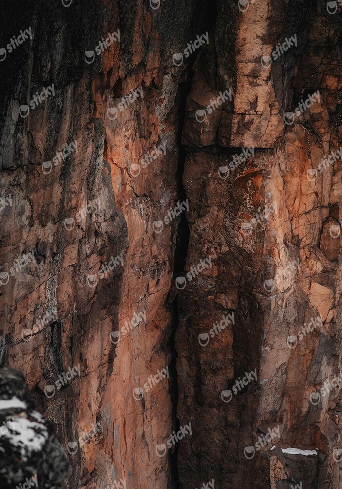 Πίνακας σε Καμβά RUSTIC FARMHOUSE TREE BARK 3