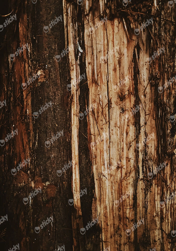 Πίνακας σε Καμβά RUSTIC FARMHOUSE TREE BARK 4