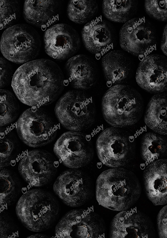 Πίνακας σε Καμβά RUSTIC FARMHOUSE BERRIES 2