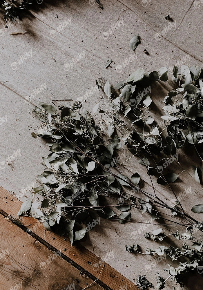 Πίνακας σε Καμβά RUSTIC FARMHOUSE DRIED LEAVES 6