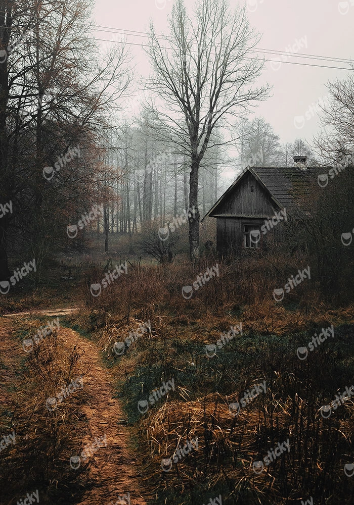 Πίνακας σε Καμβά RUSTIC FARMHOUSE FOREST CABIN 2