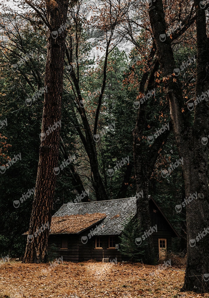 Πίνακας σε Καμβά RUSTIC FARMHOUSE FOREST CABIN 3