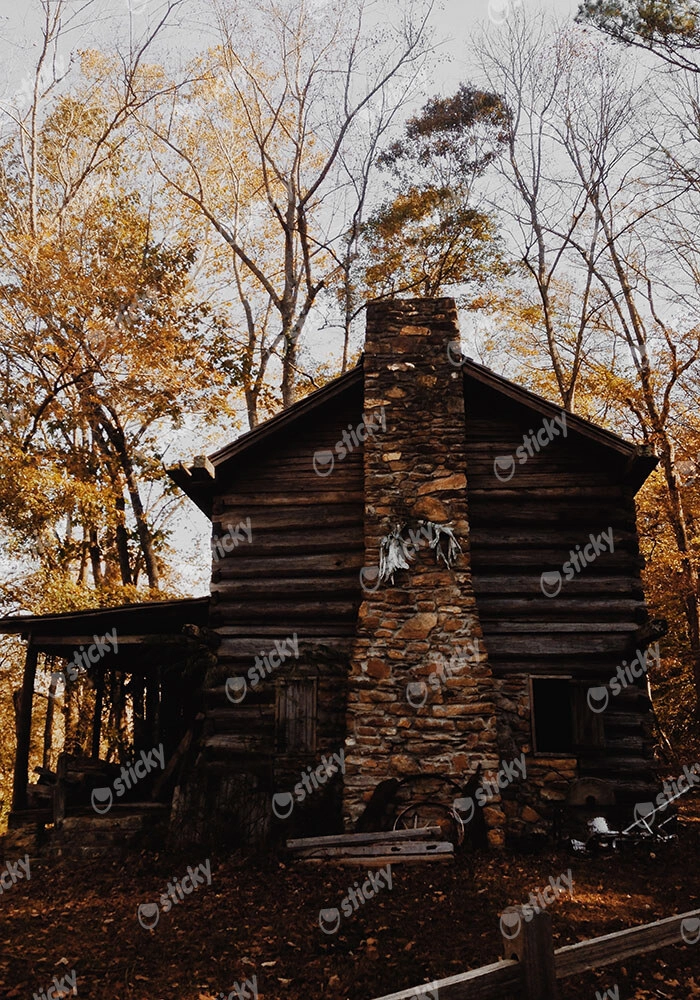 Πίνακας σε Καμβά RUSTIC FARMHOUSE FOREST CABIN 4
