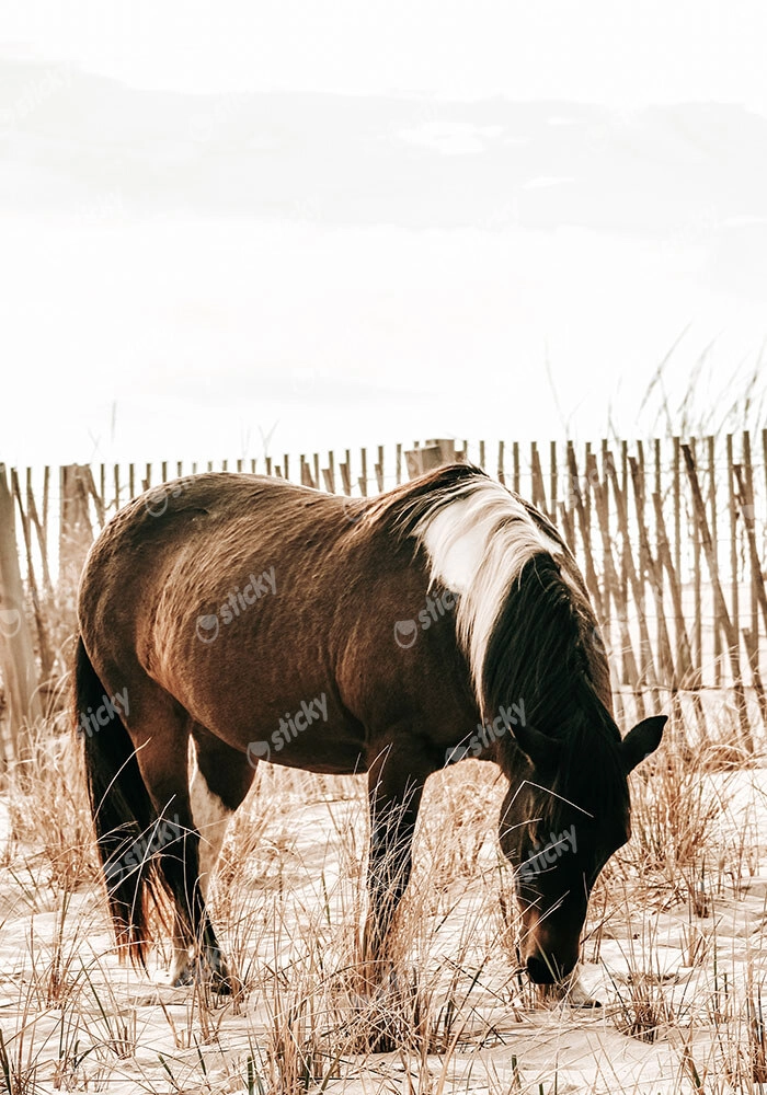 Πίνακας σε Καμβά RUSTIC FARMHOUSE HORSE 15
