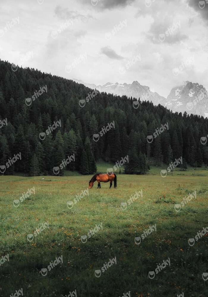 Πίνακας σε Καμβά RUSTIC FARMHOUSE HORSE 17