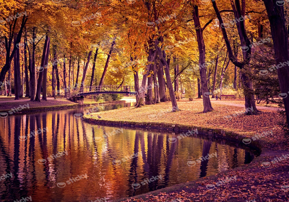 Πινακας σε καμβά OLD PARK IN FALL
