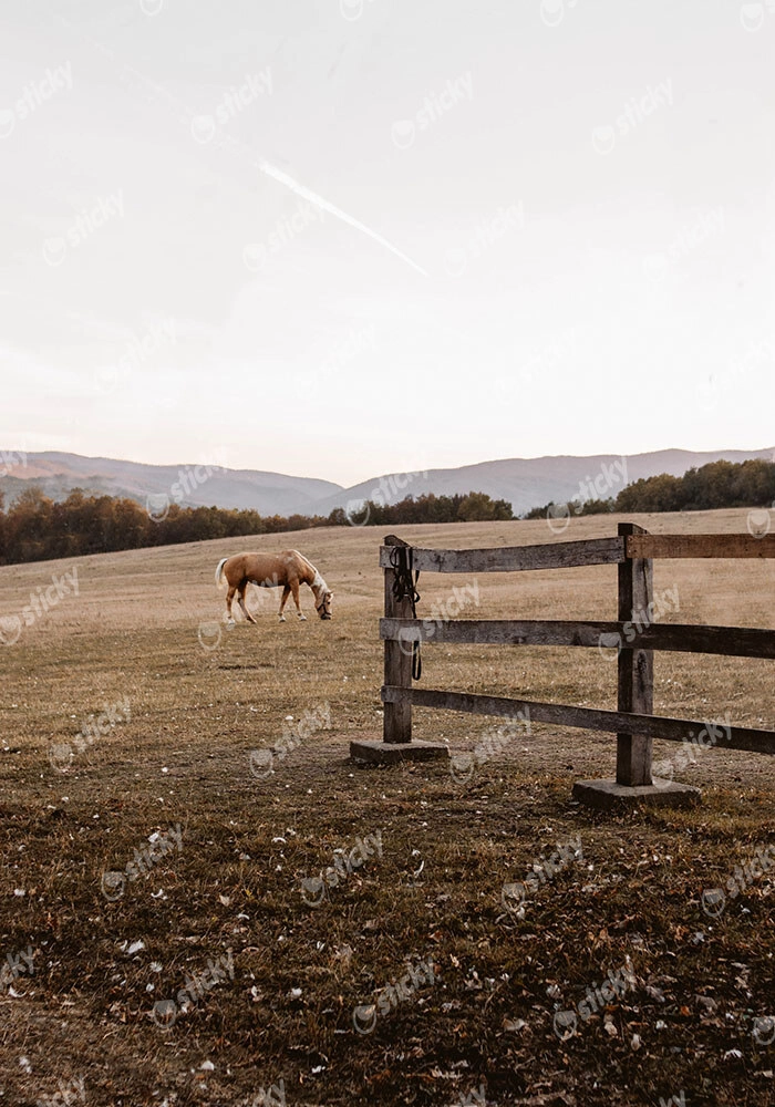 Πίνακας σε Καμβά RUSTIC FARMHOUSE HORSE FIELD