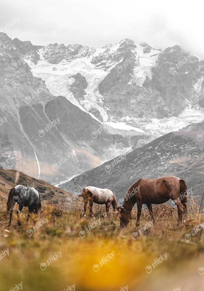 Πίνακας σε Καμβά RUSTIC FARMHOUSE HORSES 3