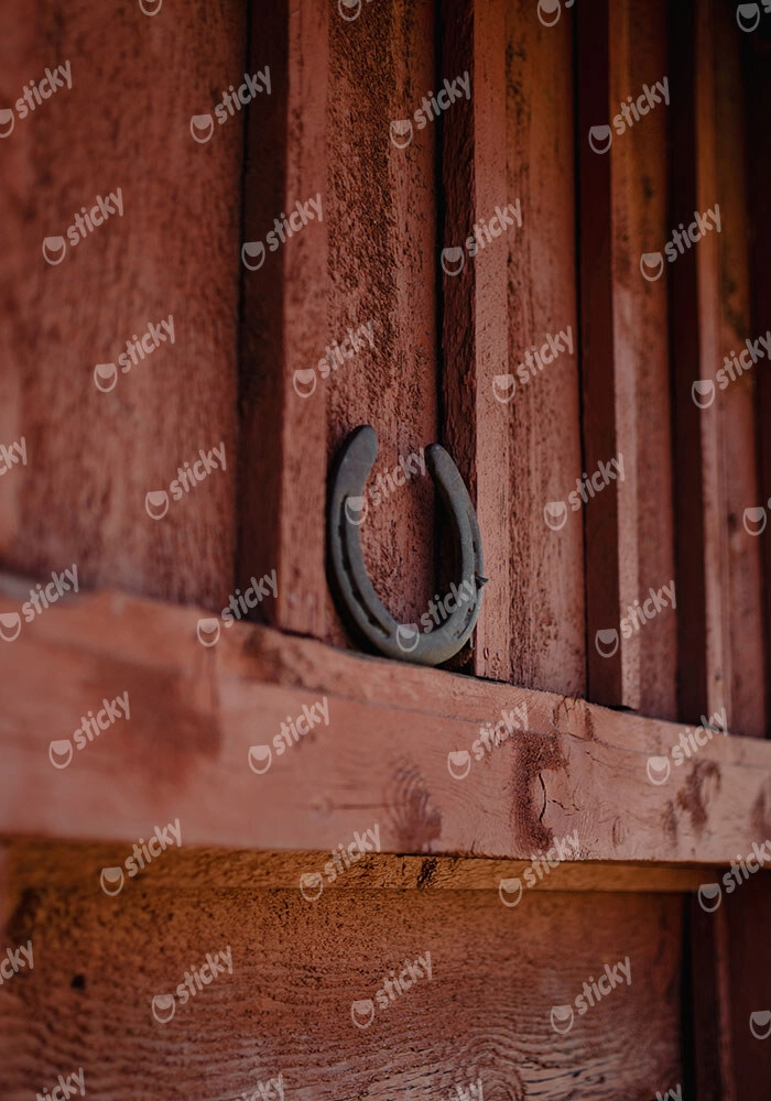 Πίνακας σε Καμβά RUSTIC FARMHOUSE HORSESHOE 2