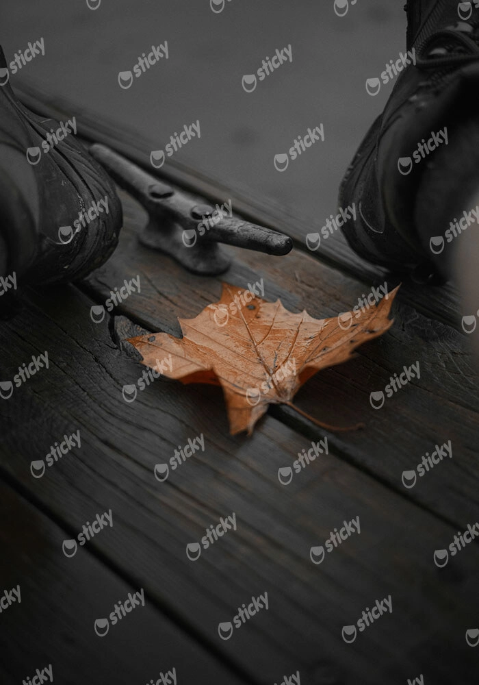 Πίνακας σε Καμβά RUSTIC FARMHOUSE LEAF