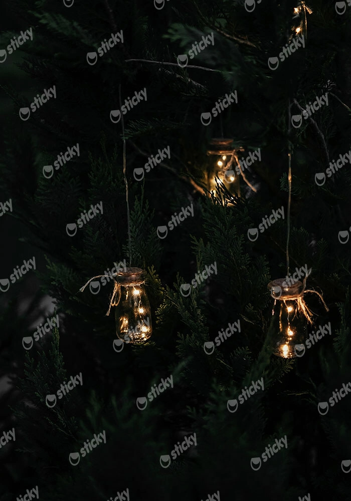 Πίνακας σε Καμβά RUSTIC FARMHOUSE LIGHTS 2