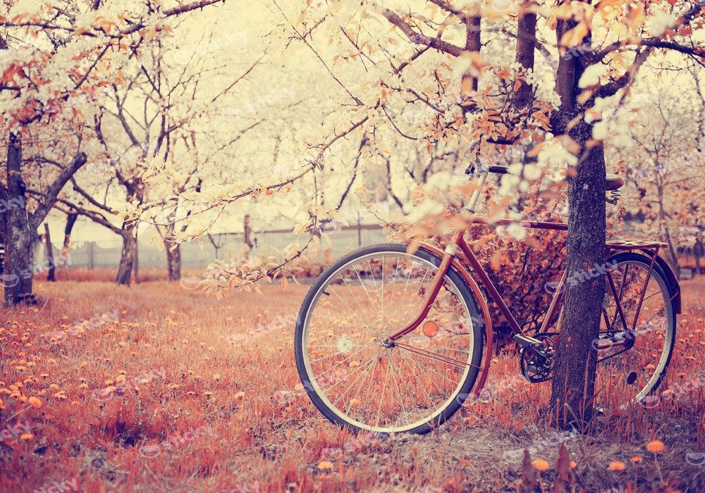 Πινακας σε καμβά VINTAGE BICYCLE FLOWERS