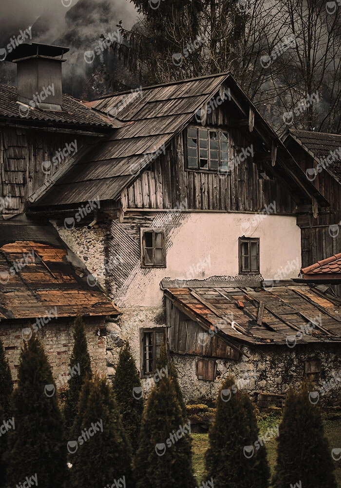 Πίνακας σε Καμβά RUSTIC FARMHOUSE OLD CABIN 2