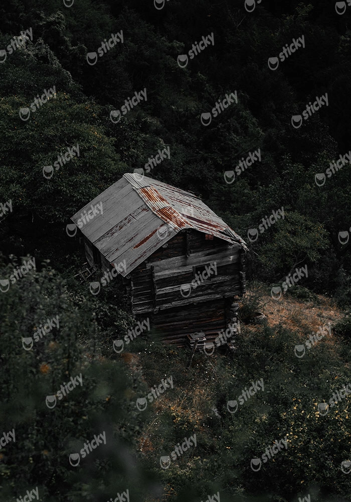 Πίνακας σε Καμβά RUSTIC FARMHOUSE OLD CABIN