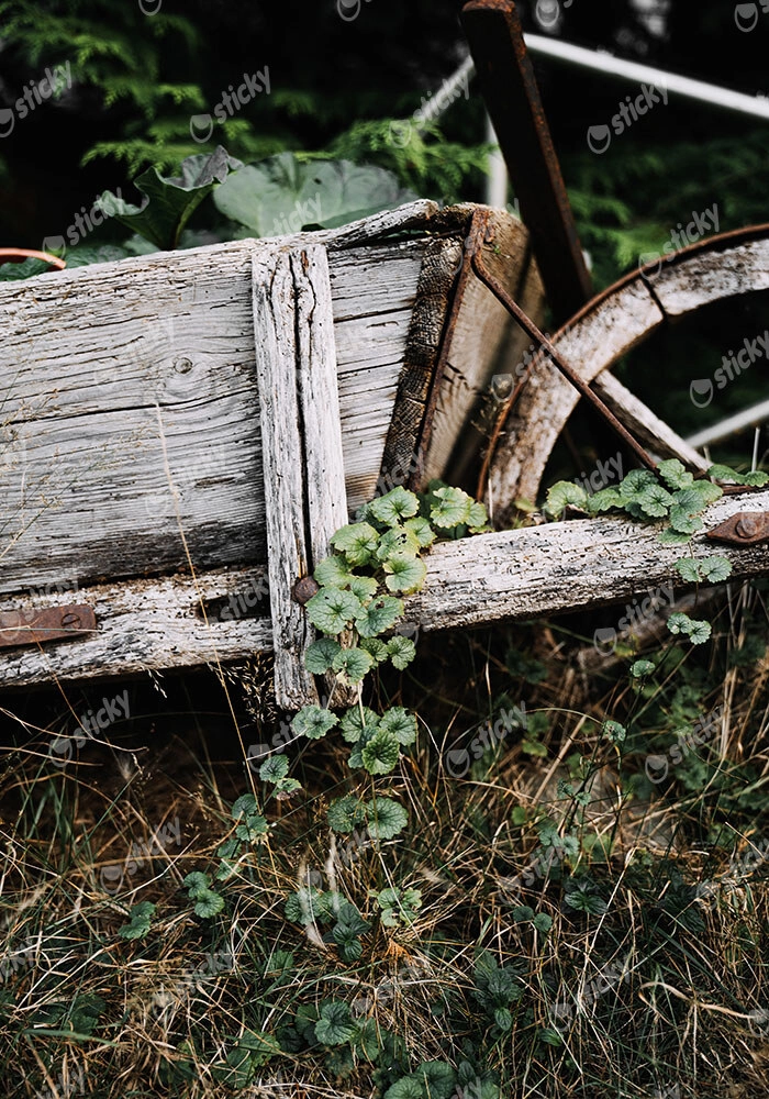 Πίνακας σε Καμβά RUSTIC FARMHOUSE OLD CART