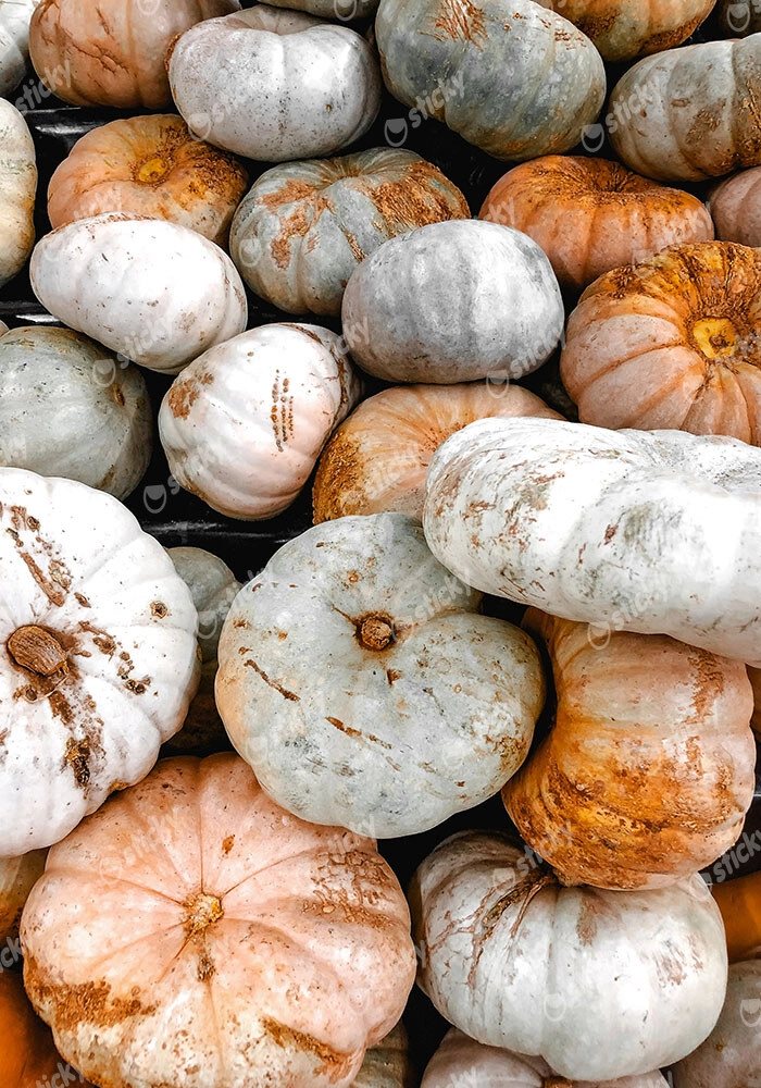 Πίνακας σε Καμβά RUSTIC FARMHOUSE PUMPKINS 3