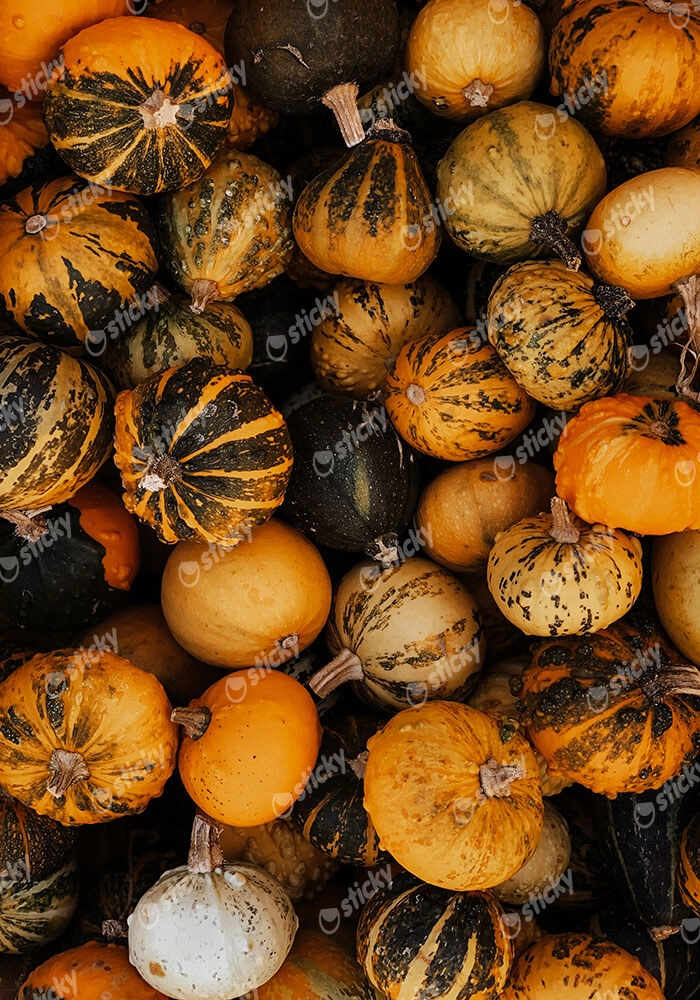 Πίνακας σε Καμβά RUSTIC FARMHOUSE PUMPKINS 4
