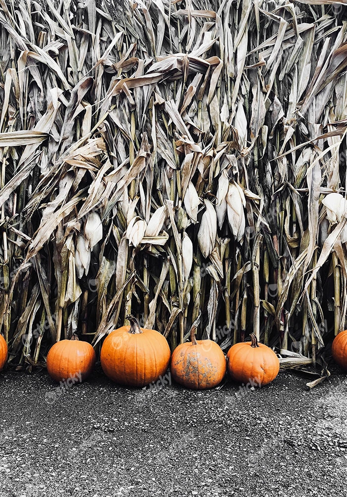 Πίνακας σε Καμβά RUSTIC FARMHOUSE PUMPKINS 5