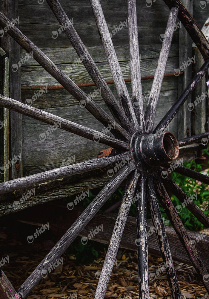 Πίνακας σε Καμβά RUSTIC FARMHOUSE WHEEL 2