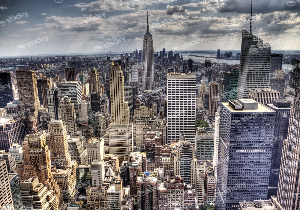 Πινακας σε καμβά NEW YORK CITY