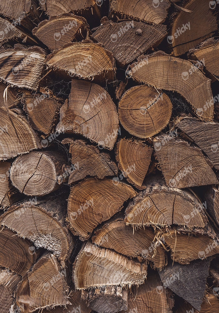 Πίνακας σε Καμβά RUSTIC FARMHOUSE WOOD LOGS 12