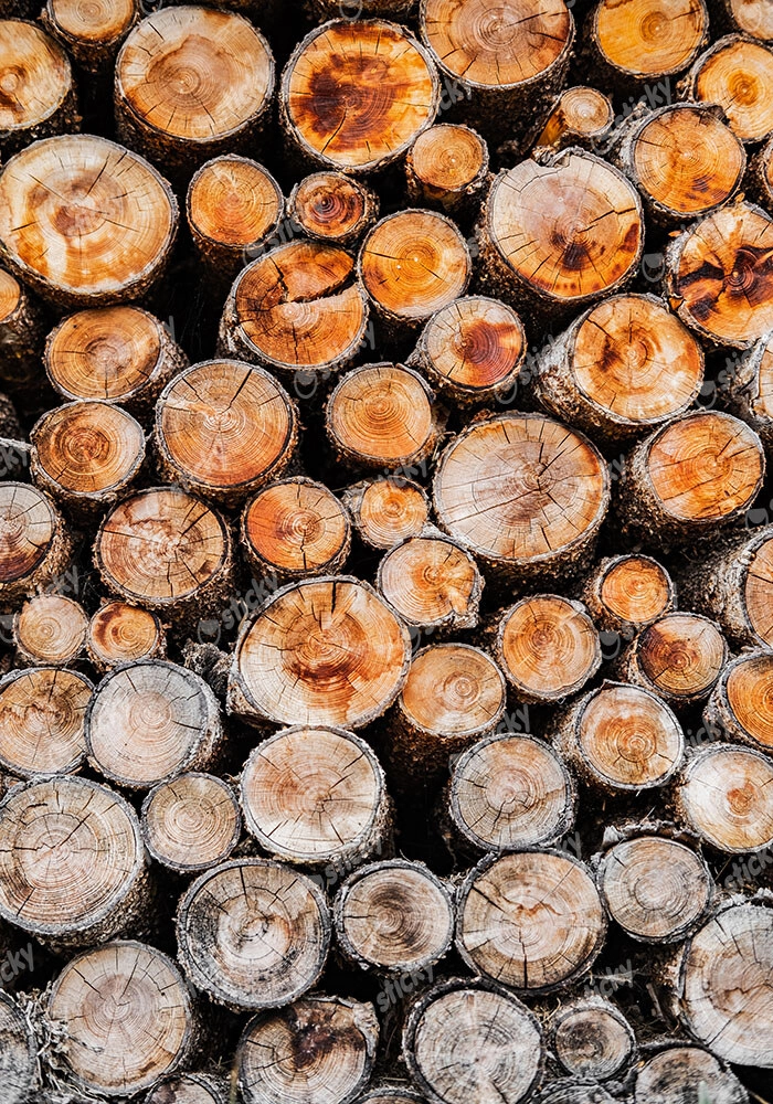 Πίνακας σε Καμβά RUSTIC FARMHOUSE WOOD LOGS 13