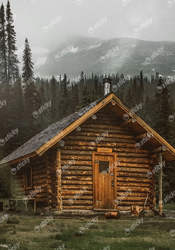 Πίνακας σε Καμβά RUSTIC FARMHOUSE WOODEN CABIN 2