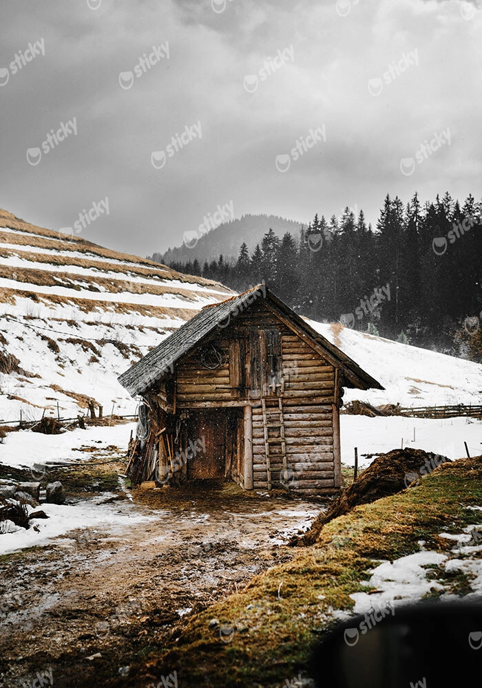Πίνακας σε Καμβά RUSTIC FARMHOUSE WOODEN CABIN 3