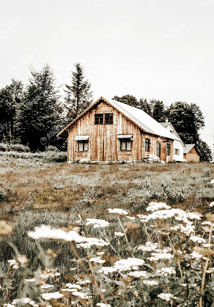 Πίνακας σε Καμβά RUSTIC FARMHOUSE WOODEN CABIN 4