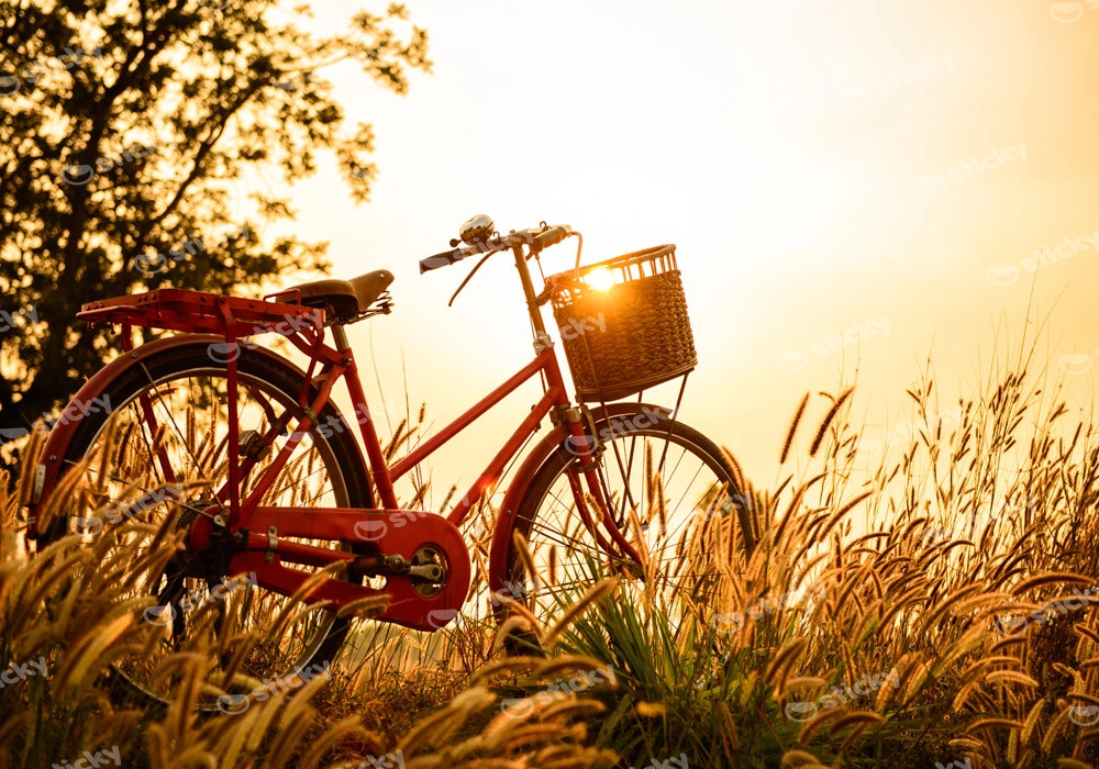Πινακας σε καμβά SUNSET BIKE