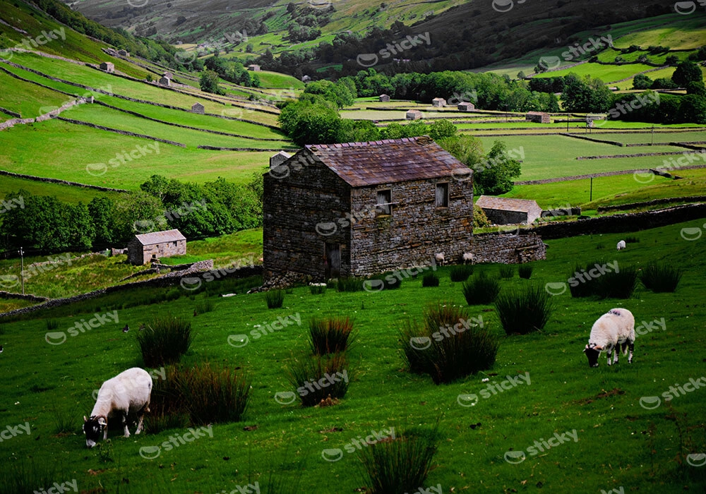 Πίνακας σε Καμβά RUSTIC FARMHOUSE BARN 5