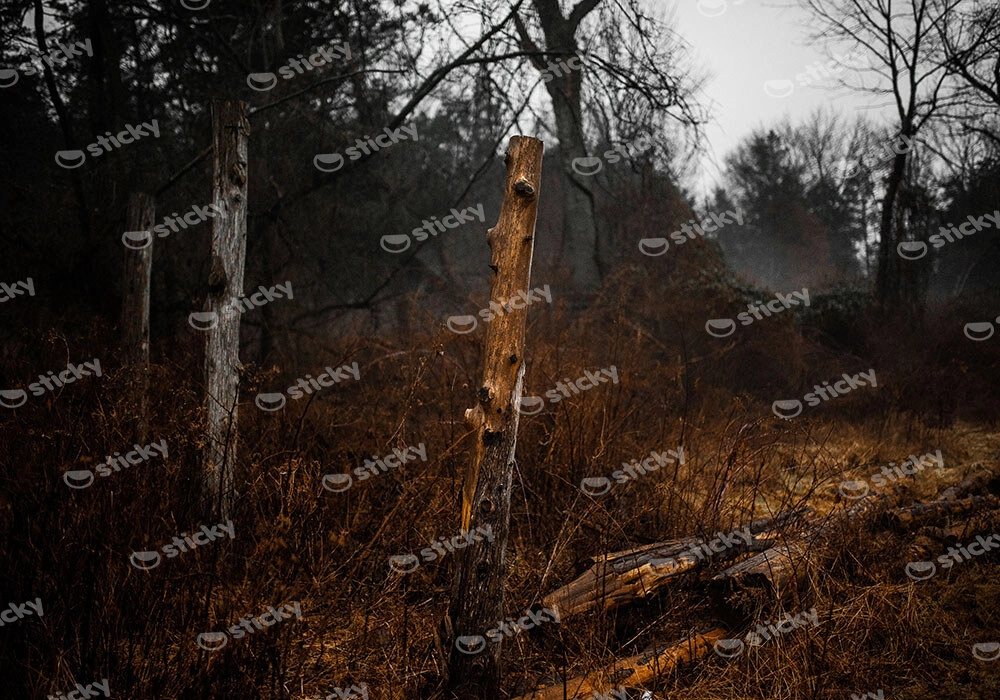 Πίνακας σε Καμβά RUSTIC FARMHOUSE DRIED FOREST