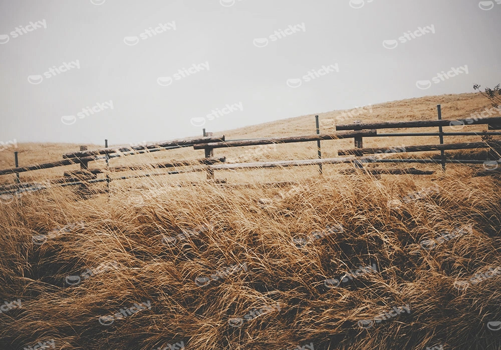 Πίνακας σε Καμβά RUSTIC FARMHOUSE FENCE 2