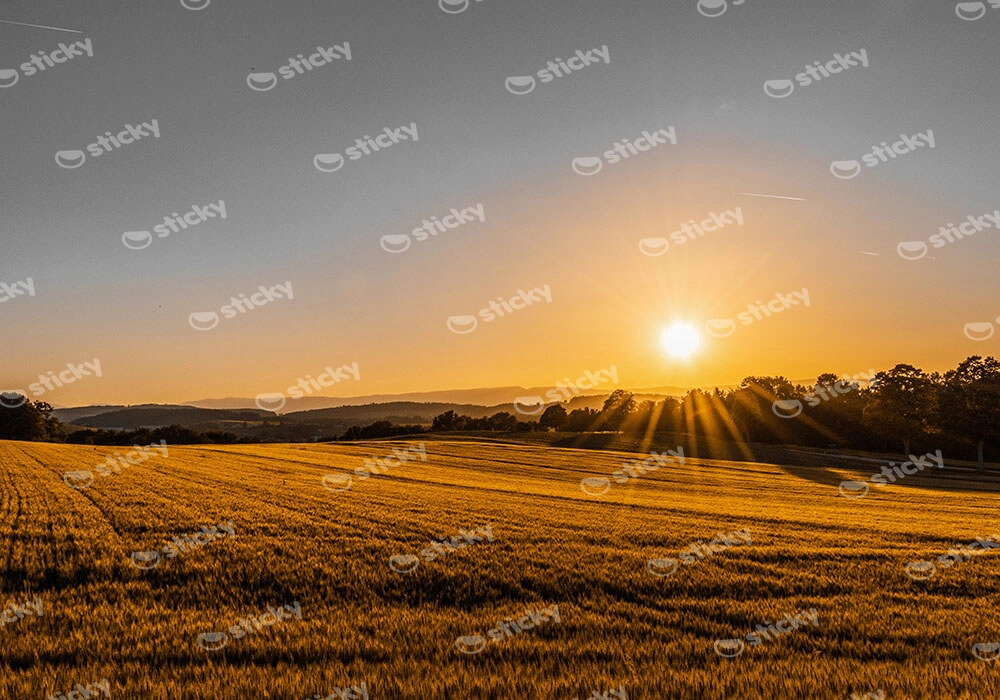 Πίνακας σε Καμβά RUSTIC FARMHOUSE FIELD 2