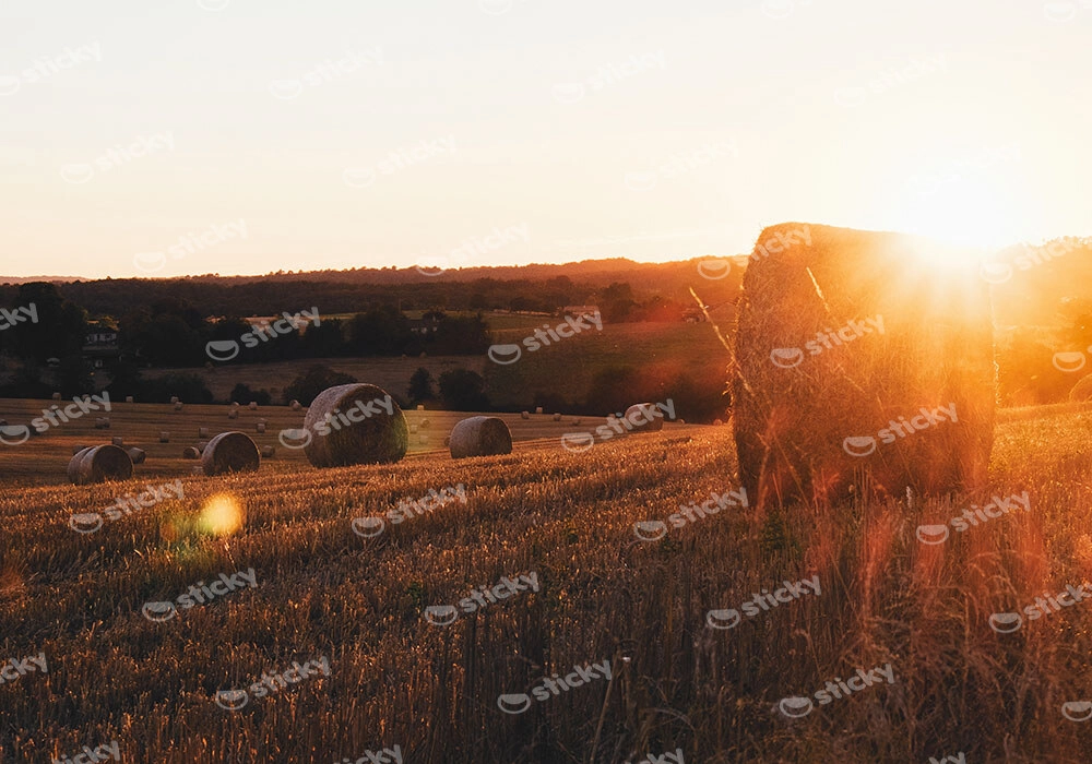 Πίνακας σε Καμβά RUSTIC FARMHOUSE FIELD 4