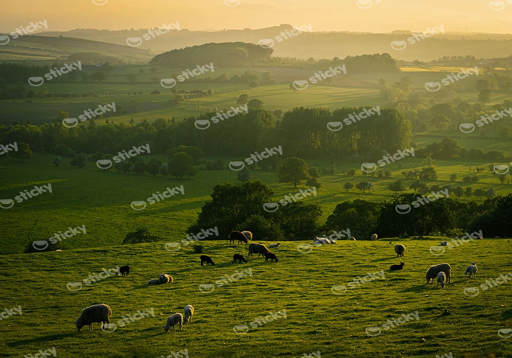 Πίνακας σε Καμβά RUSTIC FARMHOUSE FIELD 5