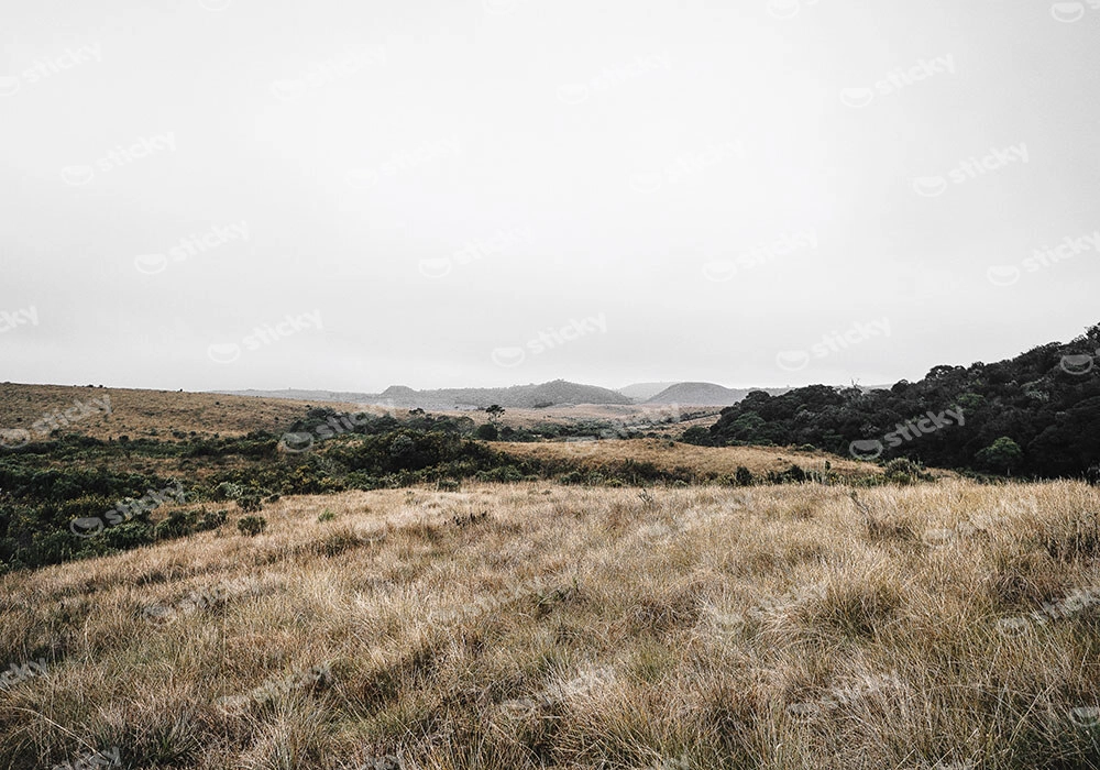Πίνακας σε Καμβά RUSTIC FARMHOUSE FIELD 6
