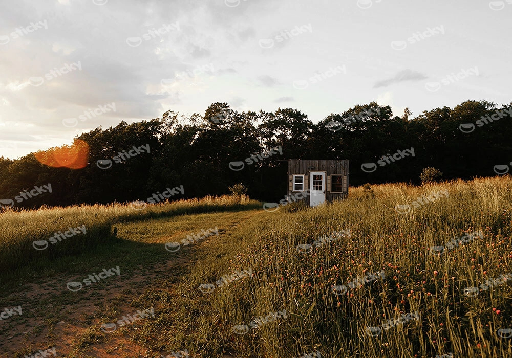 Πίνακας σε Καμβά RUSTIC FARMHOUSE FIELD CABIN 2