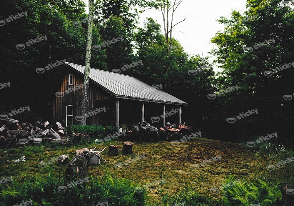 Πίνακας σε Καμβά RUSTIC FARMHOUSE FOREST CABIN 5