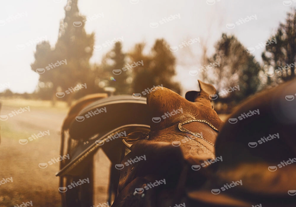 Πίνακας σε Καμβά RUSTIC FARMHOUSE SADDLE 4