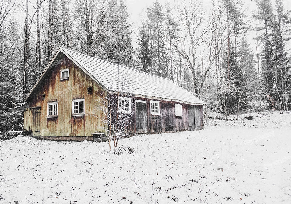 Πίνακας σε Καμβά RUSTIC FARMHOUSE SNOWY CABIN 2