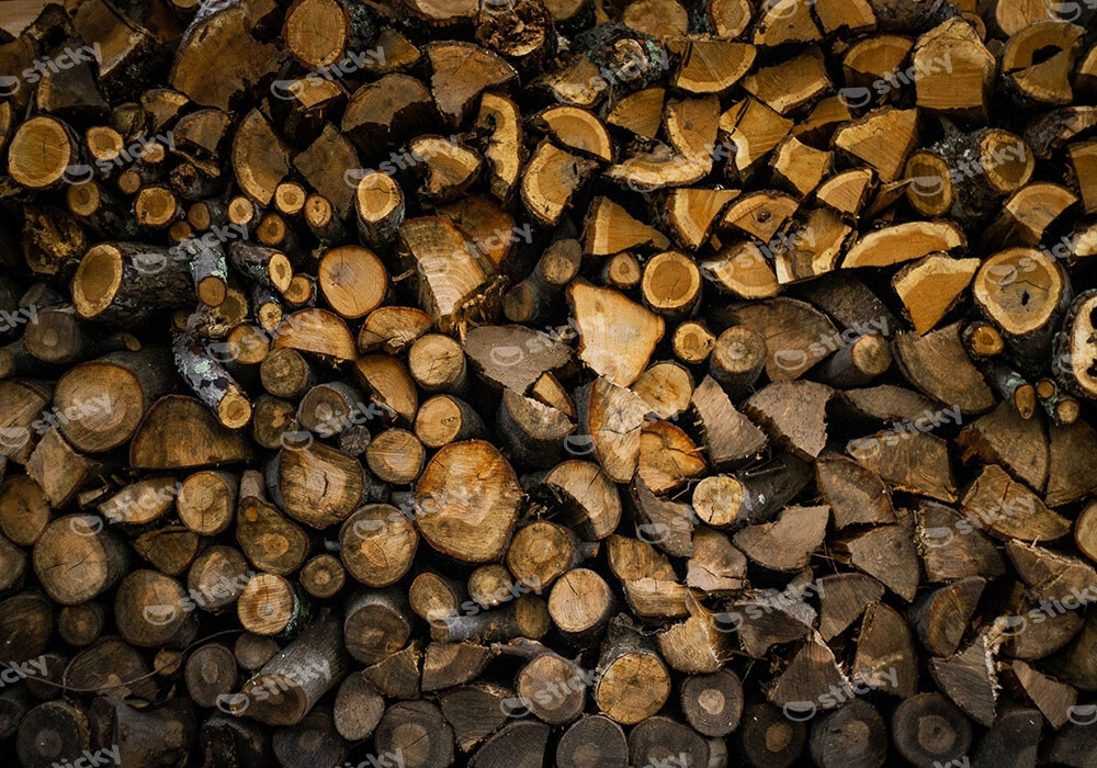 Πίνακας σε Καμβά RUSTIC FARMHOUSE WOOD LOGS 14