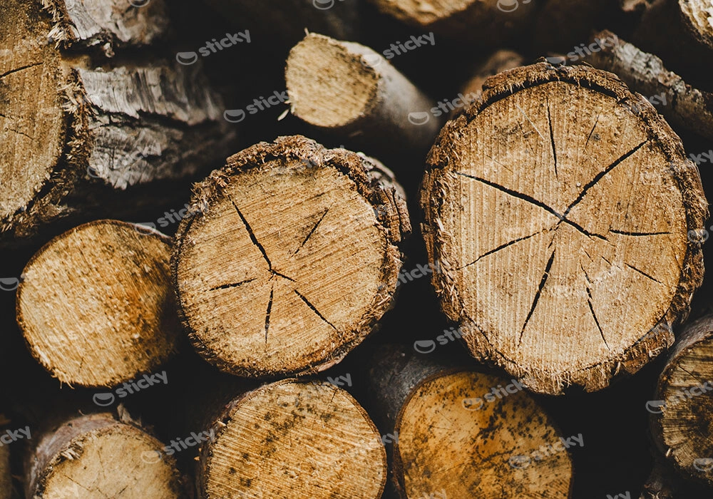Πίνακας σε Καμβά RUSTIC FARMHOUSE WOOD LOGS 16