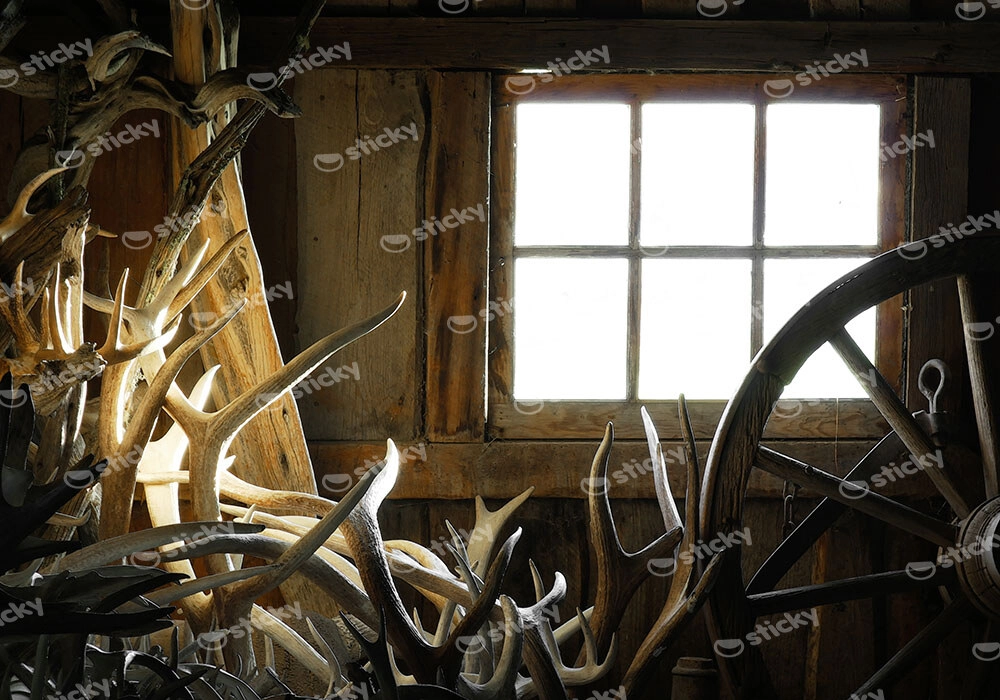 Πίνακας σε Καμβά RUSTIC FARMHOUSE ANTLERS