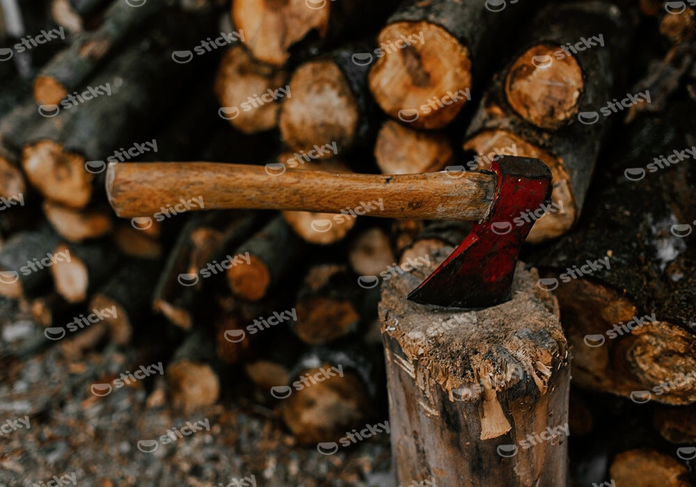 Πίνακας σε Καμβά RUSTIC FARMHOUSE AXE 4