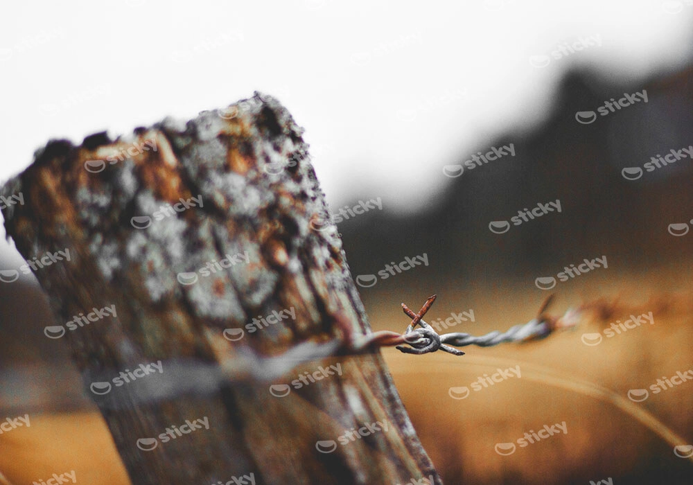 Πίνακας σε Καμβά RUSTIC FARMHOUSE BARBWIRE