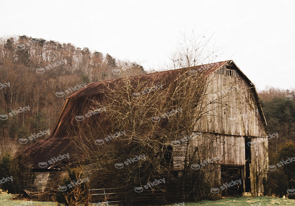 Πίνακας σε Καμβά RUSTIC FARMHOUSE BARN 16