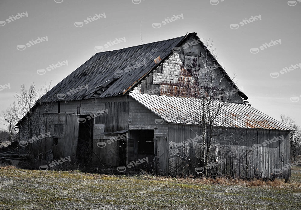Πίνακας σε Καμβά RUSTIC FARMHOUSE BARN 18